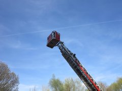IMG_2130_Copy.JPG